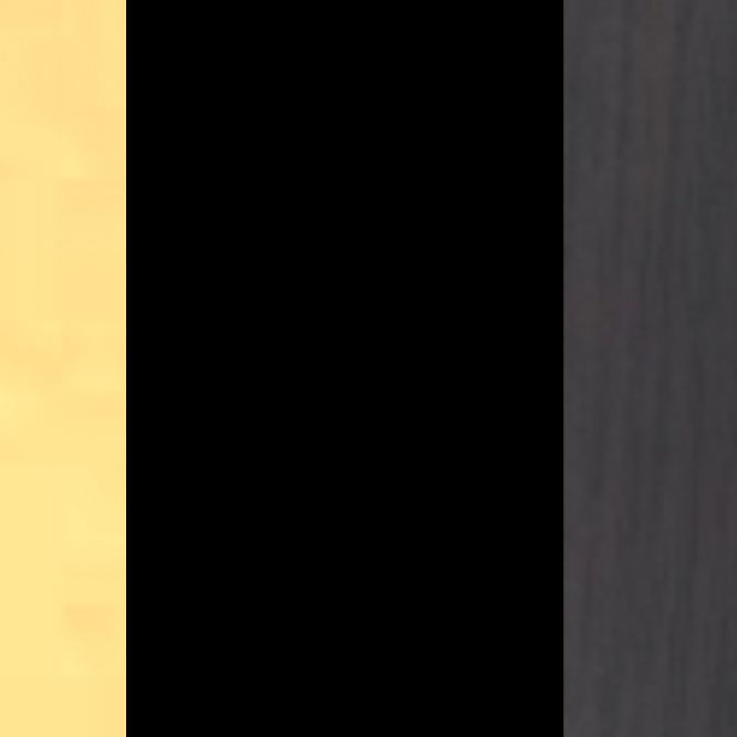 Sakai Belt